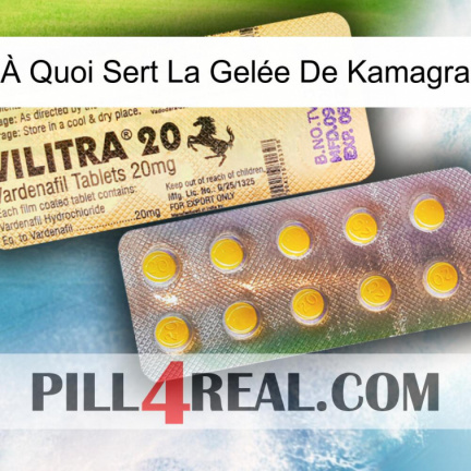 À Quoi Sert La Gelée De Kamagra new06